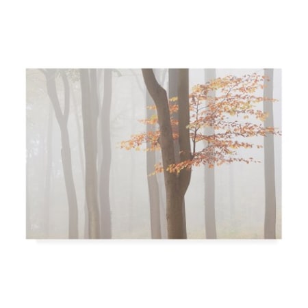Wilco Dragt 'Arnhem Park Zypendaal' Canvas Art,22x32